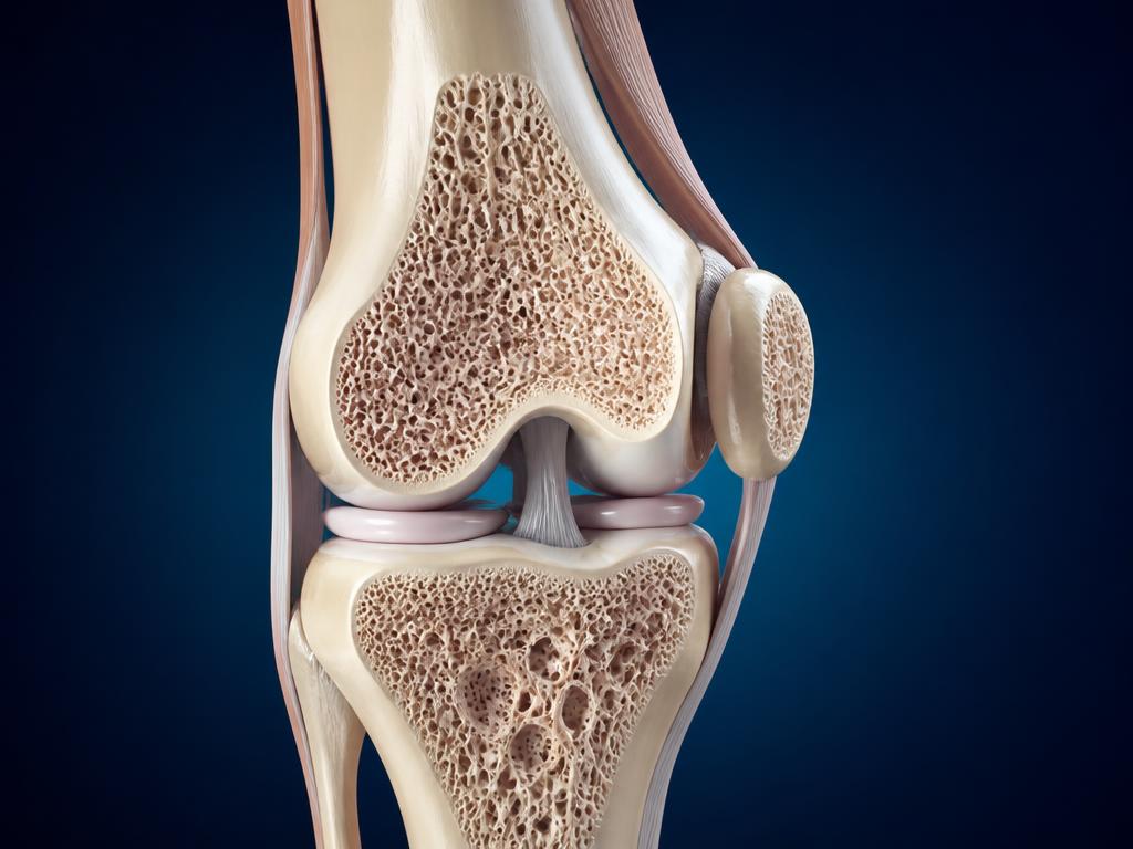 Bone