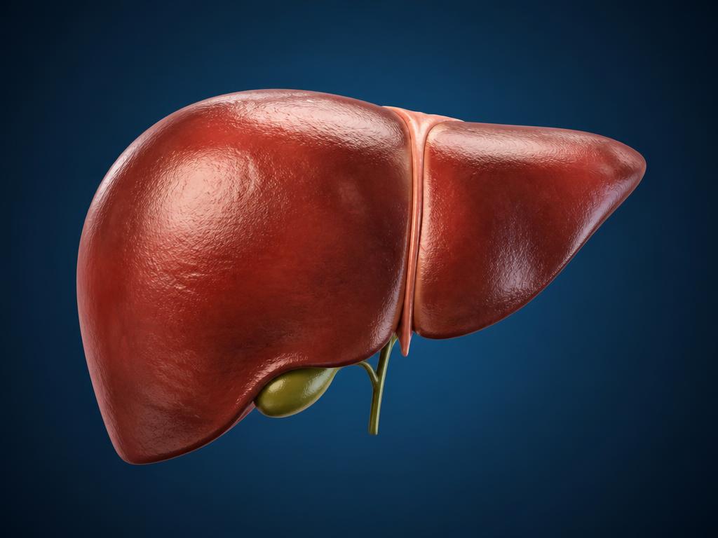 Liver
